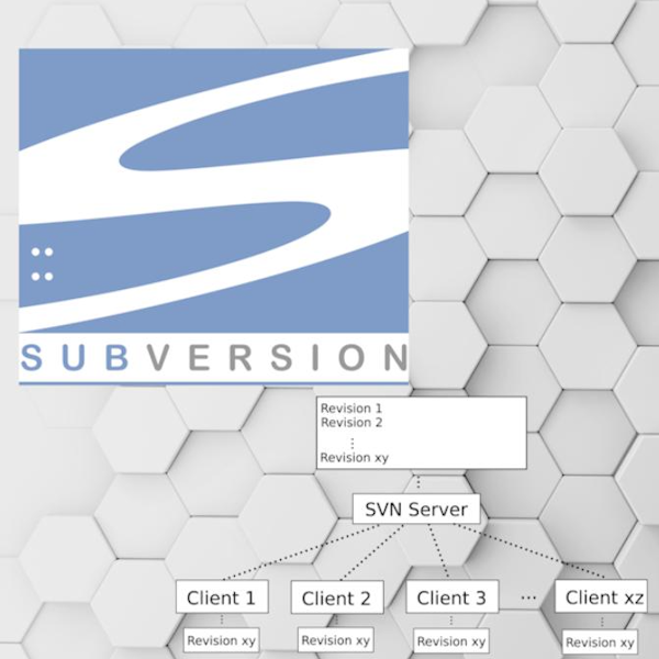 Clonen des SVN-Repositories